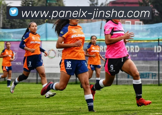 金沙娱乐平台生态图