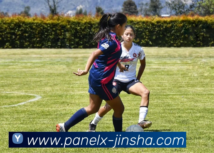 金沙娱乐全站App 金沙娱乐全站App